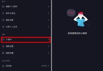 抖音小程序回歸